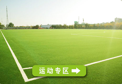 運動系列